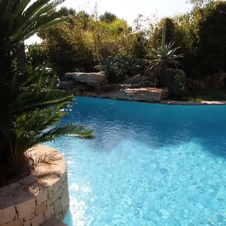 With Pool And Summer Kitchen بينيسا